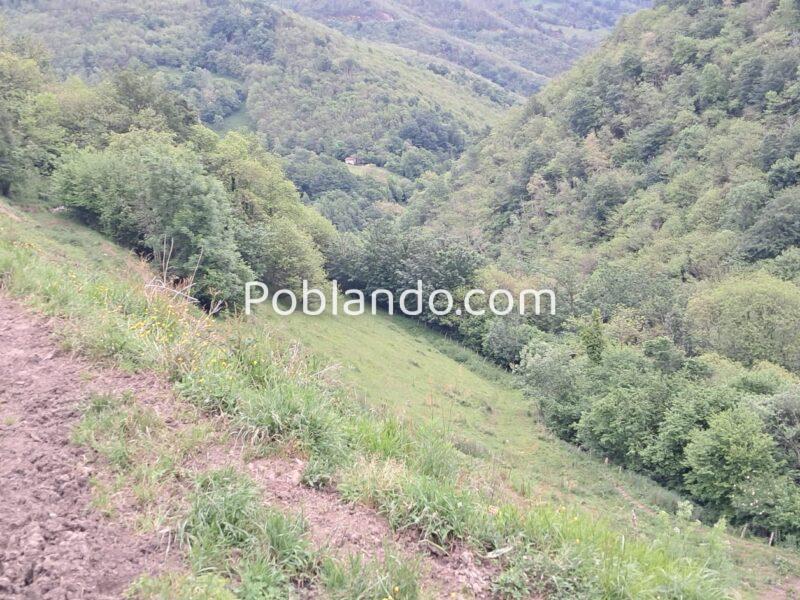 Finca de 30.000 m² con Casa y Cuadras – Ideal Turismo Rural / Cabañas/ Casas Prefabricadas (Pola de Lena, Asturias)