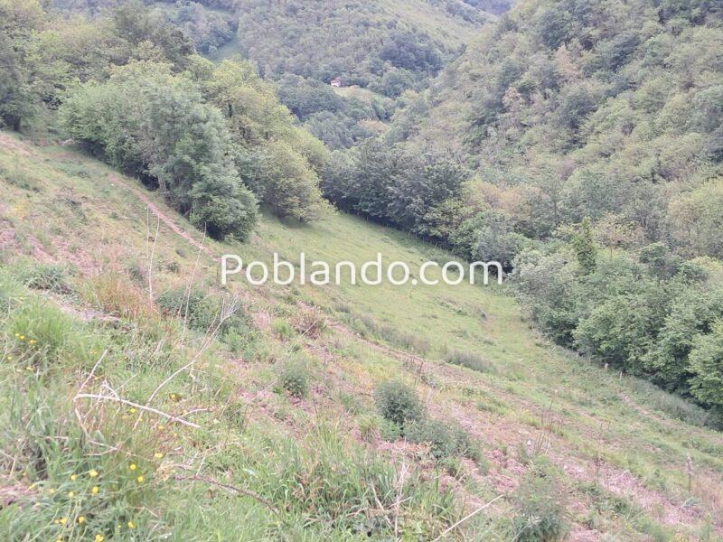 Finca de 30.000 m² con Casa y Cuadras – Ideal Turismo Rural / Cabañas/ Casas Prefabricadas (Pola de Lena, Asturias)