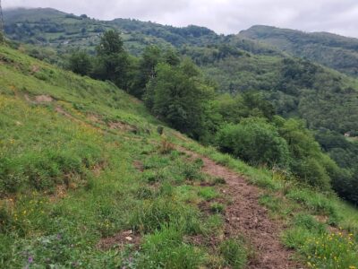 Finca de 30.000 m² con Casa y Cuadras – Ideal Turismo Rural / Cabañas/ Casas Prefabricadas (Pola de Lena, Asturias)