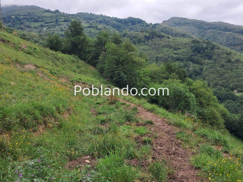 Finca de 30.000 m² con Casa y Cuadras – Ideal Turismo Rural / Cabañas/ Casas Prefabricadas (Pola de Lena, Asturias)