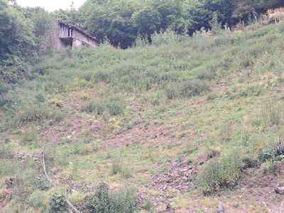 Finca de 30.000 m² con Casa y Cuadras – Ideal Turismo Rural / Cabañas/ Casas Prefabricadas (Pola de Lena, Asturias)