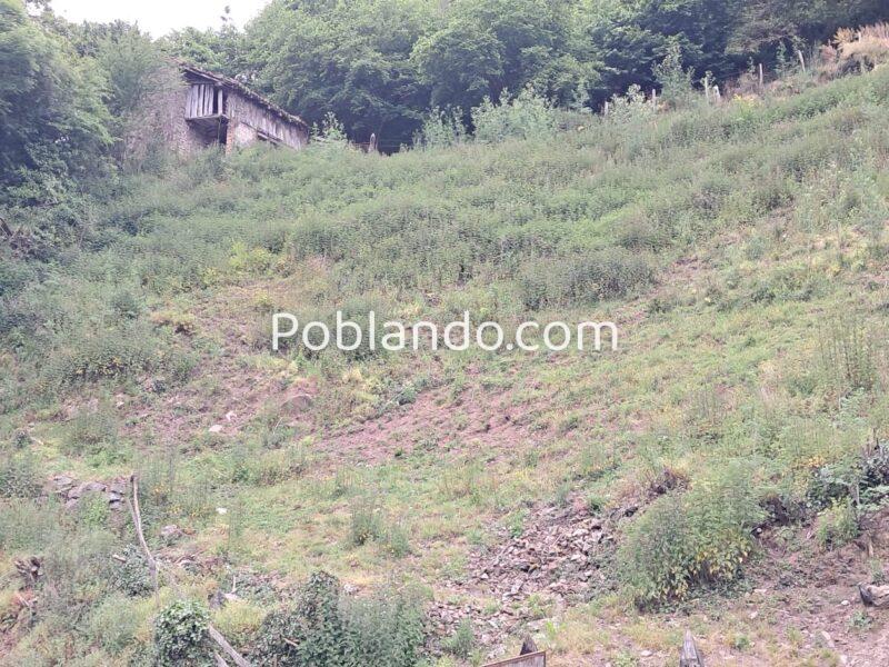 Finca de 30.000 m² con Casa y Cuadras – Ideal Turismo Rural / Cabañas/ Casas Prefabricadas (Pola de Lena, Asturias)