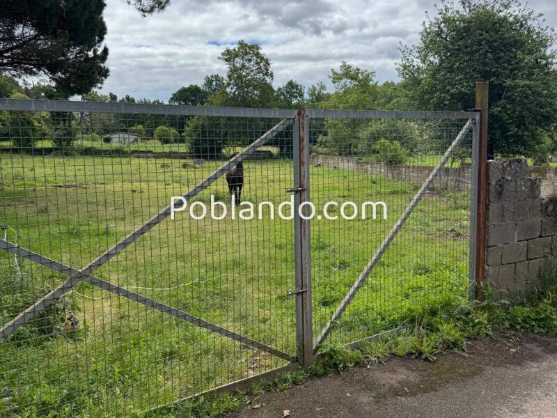 🏡 ¡OPORTUNIDAD ÚNICA EN ARRIONDAS! Finca Parcelable de 3.200 m² con Vistas a los Picos de Europa