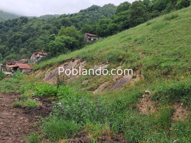Finca de 30.000 m² con Casa y Cuadras – Ideal Turismo Rural / Cabañas/ Casas Prefabricadas (Pola de Lena, Asturias)