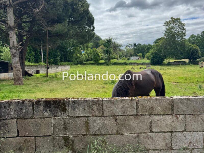 🏡 ¡OPORTUNIDAD ÚNICA EN ARRIONDAS! Finca Parcelable de 3.200 m² con Vistas a los Picos de Europa