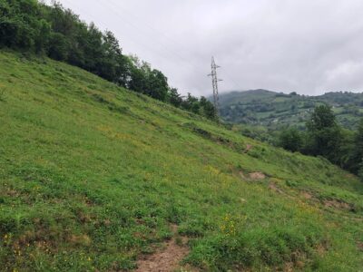Finca de 30.000 m² con Casa y Cuadras – Ideal Turismo Rural / Cabañas/ Casas Prefabricadas (Pola de Lena, Asturias)