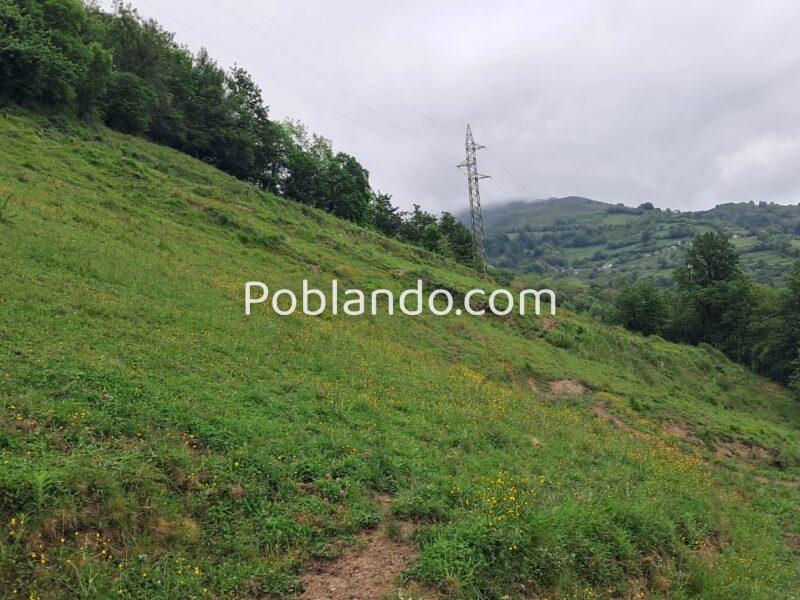 Finca de 30.000 m² con Casa y Cuadras – Ideal Turismo Rural / Cabañas/ Casas Prefabricadas (Pola de Lena, Asturias)