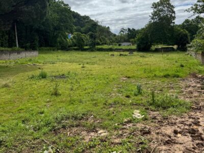 🏡 ¡OPORTUNIDAD ÚNICA EN ARRIONDAS! Finca Parcelable de 3.200 m² con Vistas a los Picos de Europa