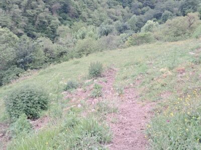 Finca de 30.000 m² con Casa y Cuadras – Ideal Turismo Rural / Cabañas/ Casas Prefabricadas (Pola de Lena, Asturias)