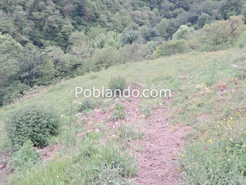Finca de 30.000 m² con Casa y Cuadras – Ideal Turismo Rural / Cabañas/ Casas Prefabricadas (Pola de Lena, Asturias)