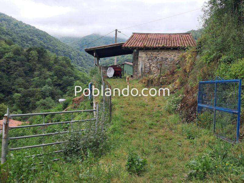 Finca de 30.000 m² con Casa y Cuadras – Ideal Turismo Rural / Cabañas/ Casas Prefabricadas (Pola de Lena, Asturias)
