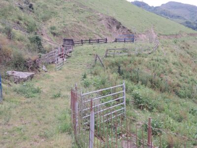 Finca de 30.000 m² con Casa y Cuadras – Ideal Turismo Rural / Cabañas/ Casas Prefabricadas (Pola de Lena, Asturias)
