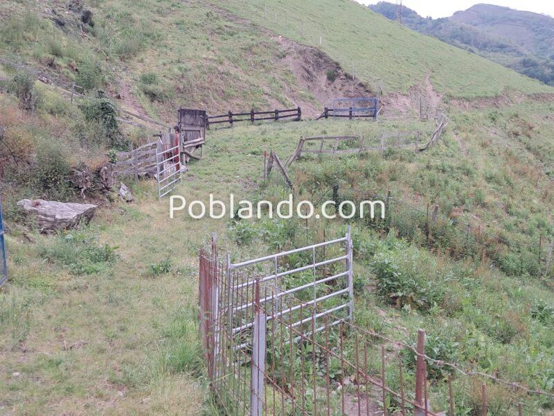 Finca de 30.000 m² con Casa y Cuadras – Ideal Turismo Rural / Cabañas/ Casas Prefabricadas (Pola de Lena, Asturias)