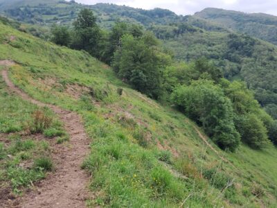 Finca de 30.000 m² con Casa y Cuadras – Ideal Turismo Rural / Cabañas/ Casas Prefabricadas (Pola de Lena, Asturias)