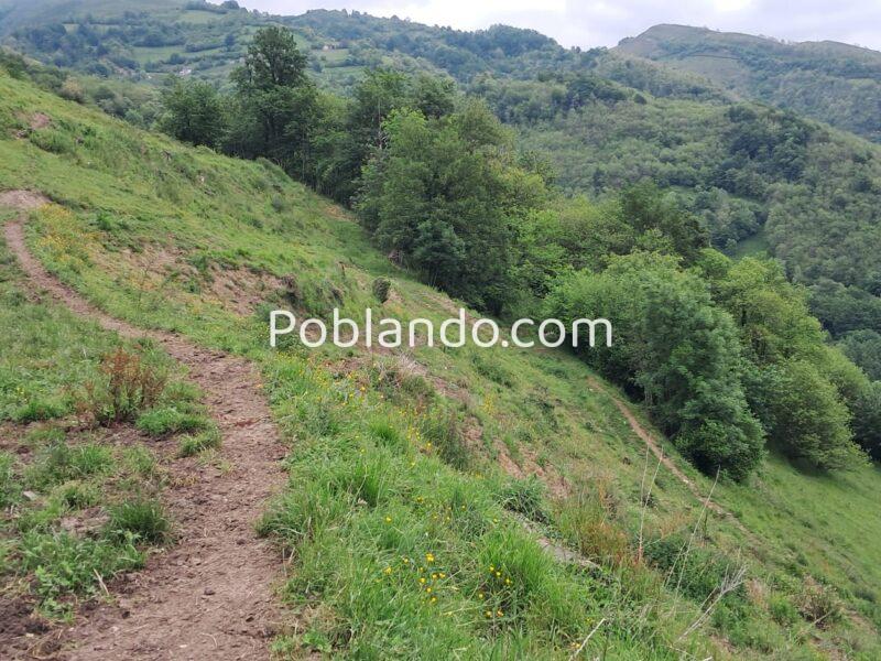 Finca de 30.000 m² con Casa y Cuadras – Ideal Turismo Rural / Cabañas/ Casas Prefabricadas (Pola de Lena, Asturias)