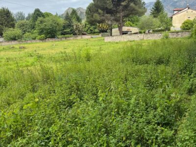 🏡 ¡OPORTUNIDAD ÚNICA EN ARRIONDAS! Finca Parcelable de 3.200 m² con Vistas a los Picos de Europa