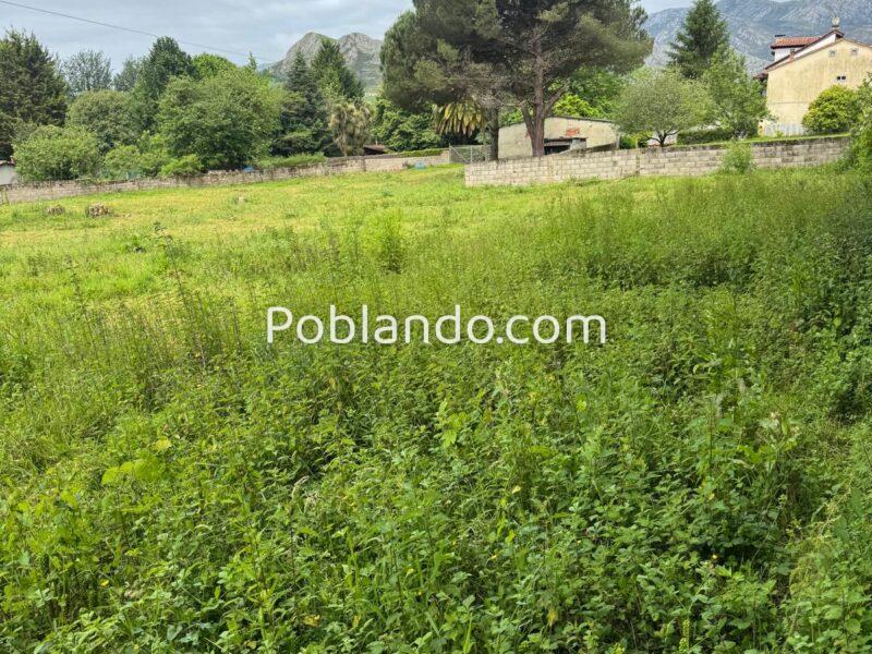 🏡 ¡OPORTUNIDAD ÚNICA EN ARRIONDAS! Finca Parcelable de 3.200 m² con Vistas a los Picos de Europa
