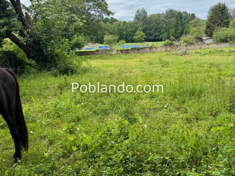 🏡 ¡OPORTUNIDAD ÚNICA EN ARRIONDAS! Finca Parcelable de 3.200 m² con Vistas a los Picos de Europa