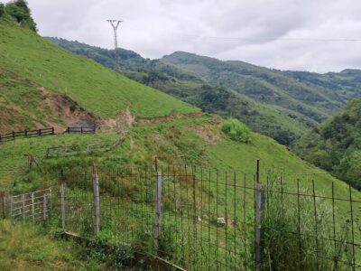 Finca de 30.000 m² con Casa y Cuadras – Ideal Turismo Rural / Cabañas/ Casas Prefabricadas (Pola de Lena, Asturias)