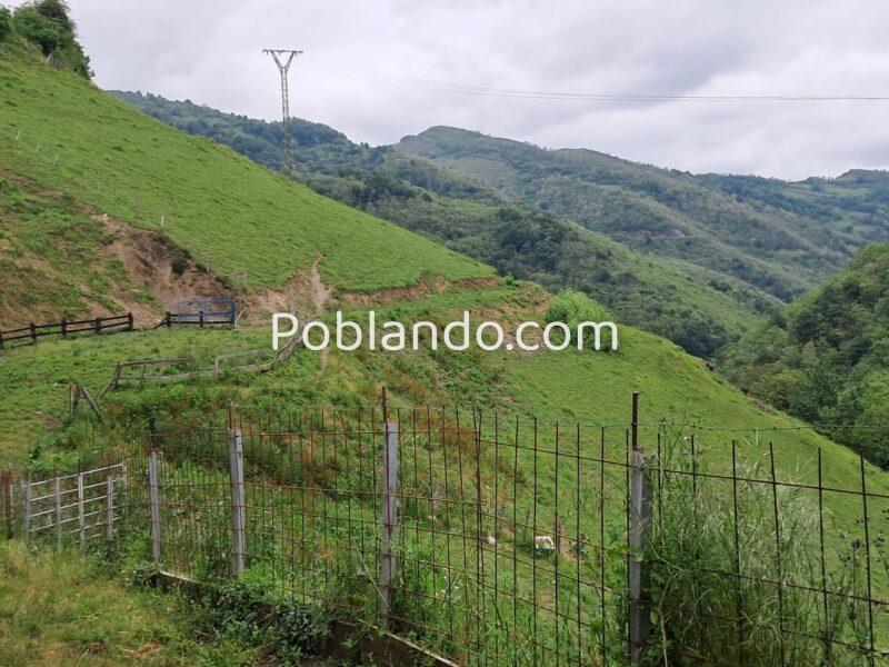 Finca de 30.000 m² con Casa y Cuadras – Ideal Turismo Rural / Cabañas/ Casas Prefabricadas (Pola de Lena, Asturias)