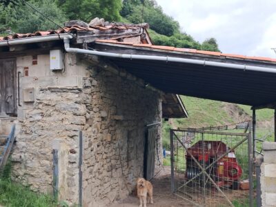 Finca de 30.000 m² con Casa y Cuadras – Ideal Turismo Rural / Cabañas/ Casas Prefabricadas (Pola de Lena, Asturias)