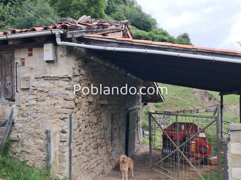 Finca de 30.000 m² con Casa y Cuadras – Ideal Turismo Rural / Cabañas/ Casas Prefabricadas (Pola de Lena, Asturias)