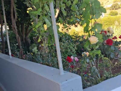 Casa y Terrenos en Santa María de Guía Gran Canaria 100% HABITABLE DESDE YA RECIEN SANEADA Y PINTADA!!!!