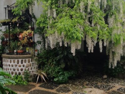 Casa RÚSTICA de 10 dormitorios