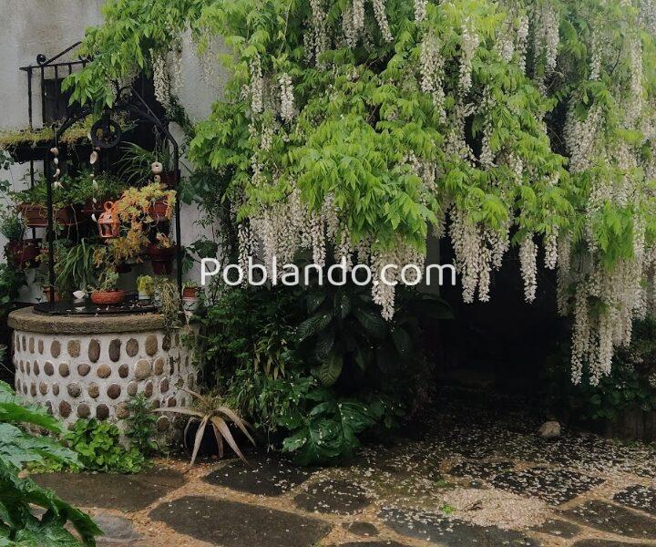 Casa RÚSTICA de 10 dormitorios