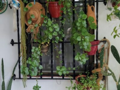 Casa RÚSTICA de 10 dormitorios