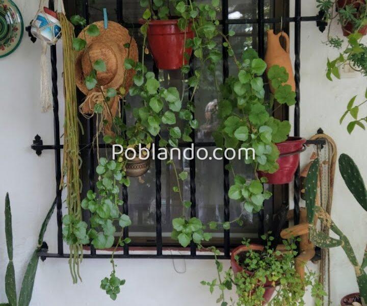 Casa RÚSTICA de 10 dormitorios