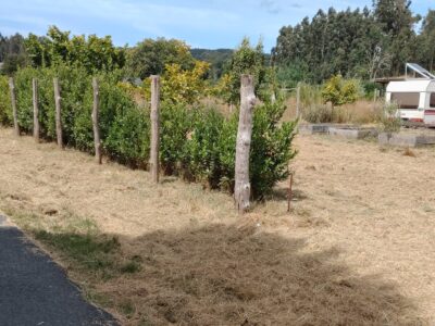 Finca urbana 1000m2