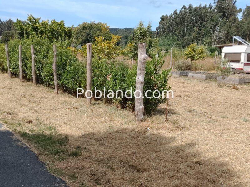 Finca urbana 1000m2