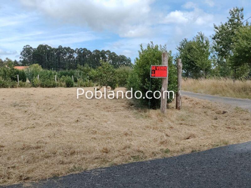 Finca urbana 1000m2