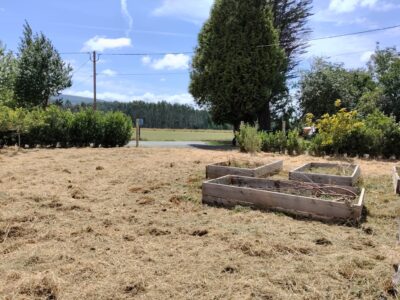 Finca urbana 1000m2