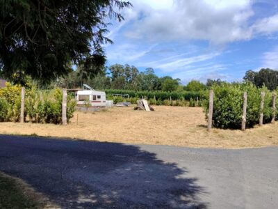 Finca urbana 1000m2