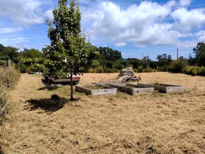 Finca urbana 1000m2
