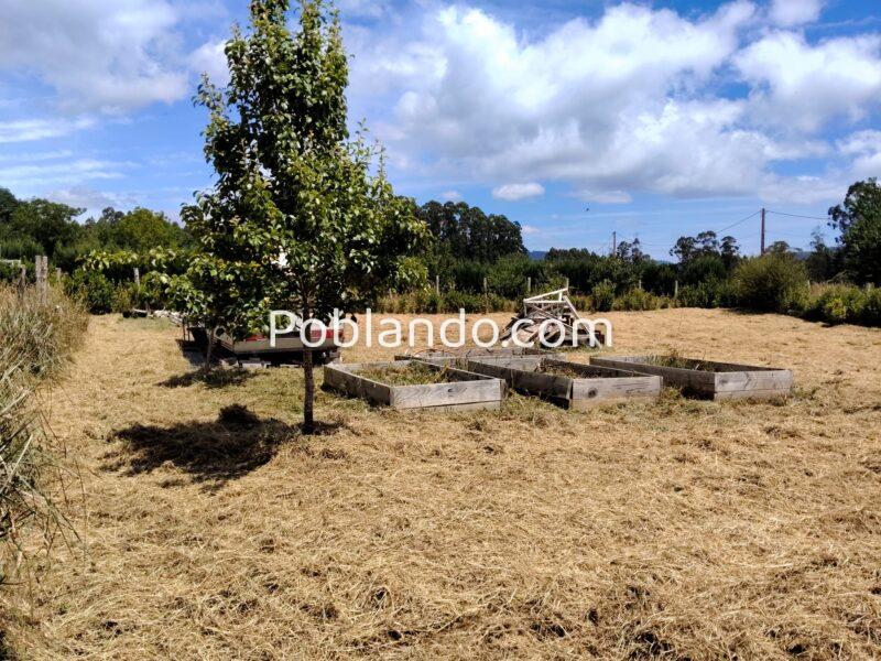 Finca urbana 1000m2
