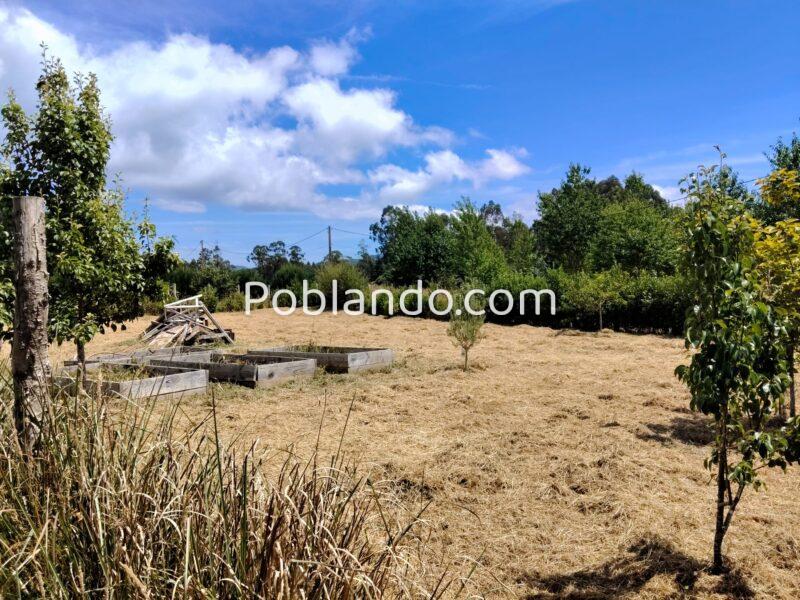 Finca urbana 1000m2