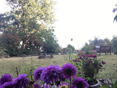 Hotel boutique en funcionamiento en Sierra de Gata · finca privada de 12 ha · alto potencial de crecimiento y ampliación.