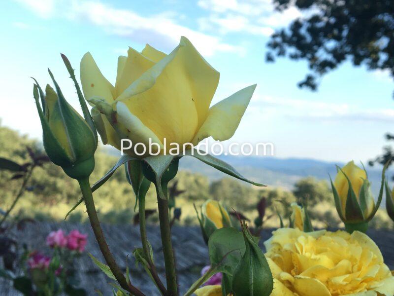 Hotel boutique en funcionamiento en Sierra de Gata · finca privada de 12 ha · alto potencial de crecimiento y ampliación.