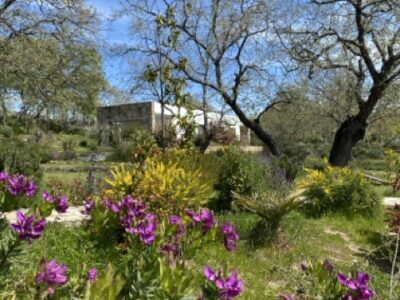 Hotel boutique en funcionamiento en Sierra de Gata · finca privada de 12 ha · alto potencial de crecimiento y ampliación.