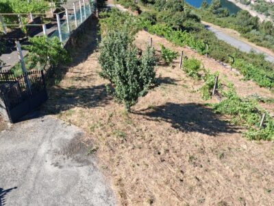 Casa con finca