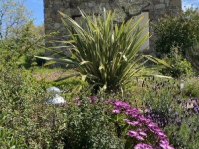 Hotel boutique en funcionamiento en Sierra de Gata · finca privada de 12 ha · alto potencial de crecimiento y ampliación.