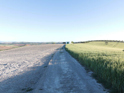 TERRENO AGRÍCOLA EN VENTA EN UTRERA (SEVILLA)
