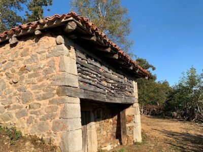 🏔️🌲Exclusiva cabaña de piedra con 1 Hectárea de terreno y robledal privado en Quirós
