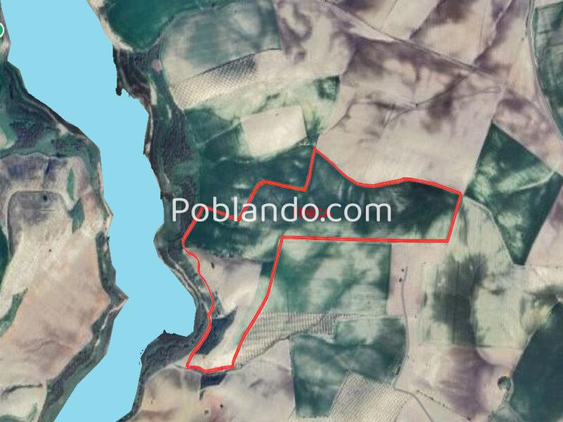 TERRENO AGRÍCOLA EN VENTA EN UTRERA (SEVILLA)