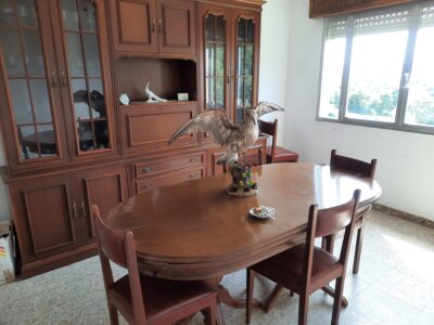 Casa con finca