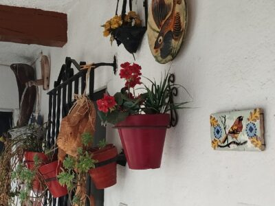 Casa RÚSTICA de 10 dormitorios