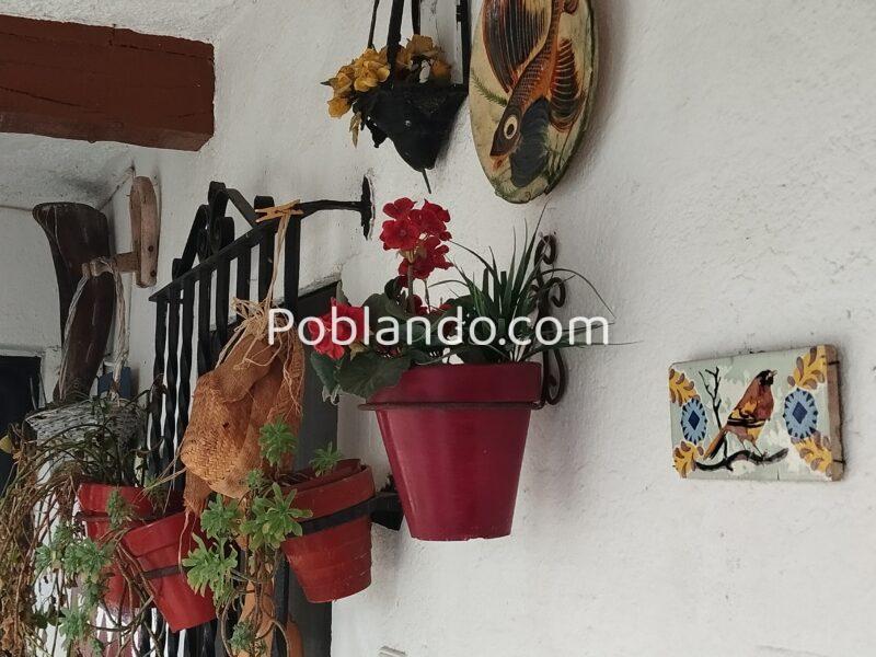 Casa RÚSTICA de 10 dormitorios